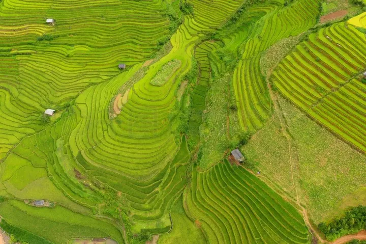 背景高清图片_新鲜水稻梯田的空中俯视图、农村或 Mu Cang Chai 农村地区的绿色农田、亚洲日落时的山丘山谷。自然景观背景。_风景名胜 ...